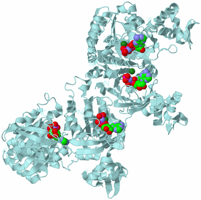 Image Biological Unit 6