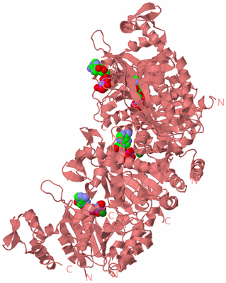 Image Biological Unit 8