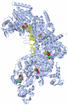 Image Biological Unit 1