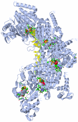 Image Biol. Unit 1 - sites