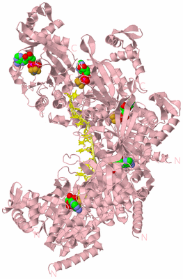 Image Biological Unit 2