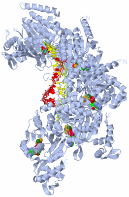 Image Biological Unit 1