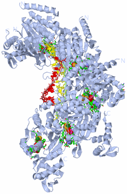 Image Biol. Unit 1 - sites