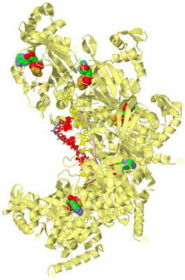 Image Biological Unit 2