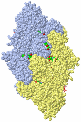 Image Asym. Unit - sites