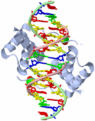 Image Biological Unit 1