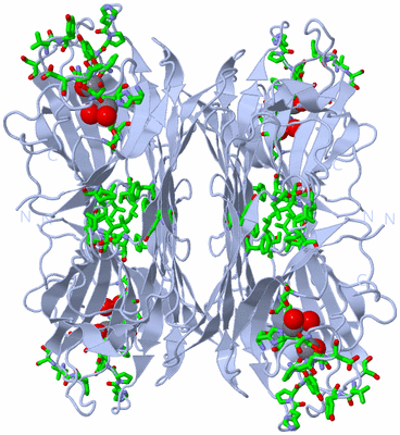 Image Biol. Unit 1 - sites