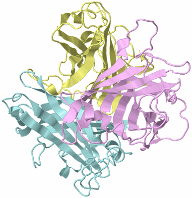 Image Biological Unit 2