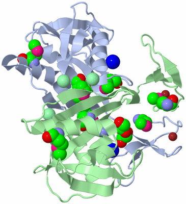 Image Biological Unit 1