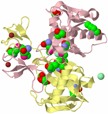 Image Biological Unit 2