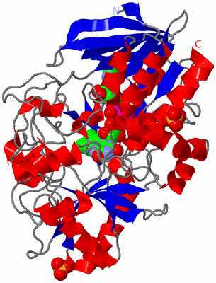 Image Asym./Biol. Unit