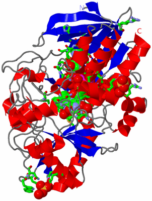 Image Asym./Biol. Unit - sites