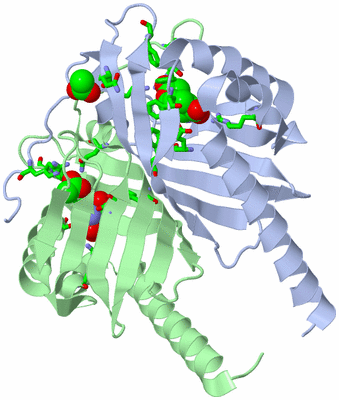 Image Asym./Biol. Unit - sites