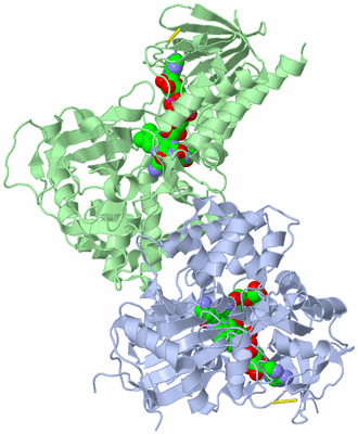 Image Asym./Biol. Unit