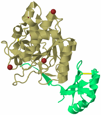 Image Biological Unit 1