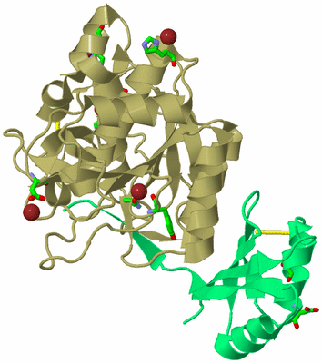 Image Biol. Unit 1 - sites