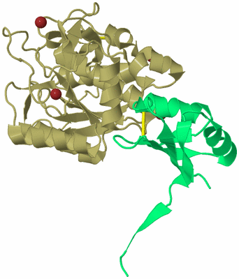 Image Biological Unit 2