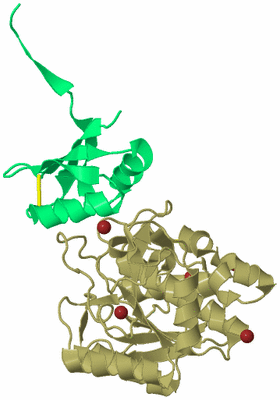 Image Biological Unit 3