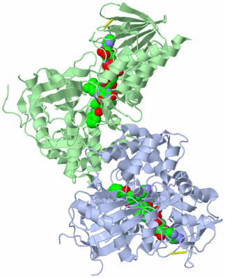 Image Asym./Biol. Unit