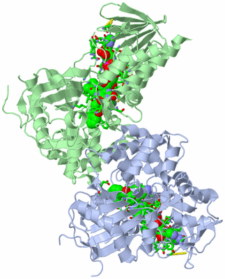 Image Asym./Biol. Unit - sites