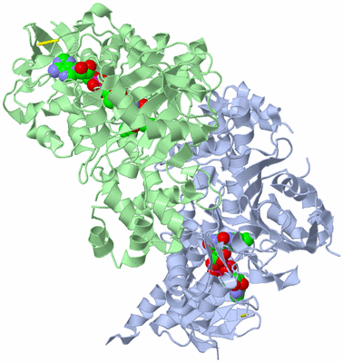 Image Asym./Biol. Unit