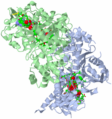 Image Asym./Biol. Unit - sites