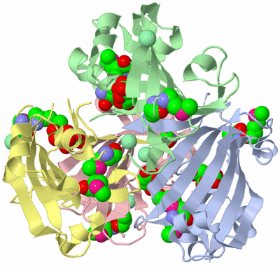 Image Asym./Biol. Unit