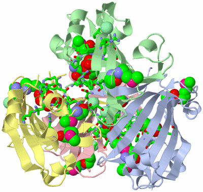 Image Asym./Biol. Unit - sites