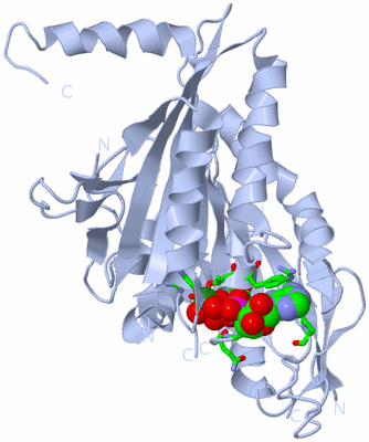 Image Biol. Unit 1 - sites