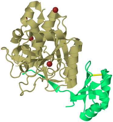 Image Biological Unit 1