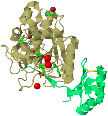 Image Biol. Unit 1 - sites