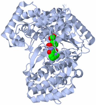 Image Biological Unit 1