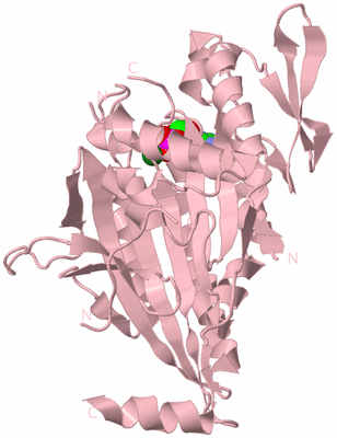 Image Biological Unit 2