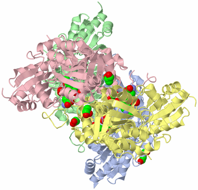 Image Asym./Biol. Unit