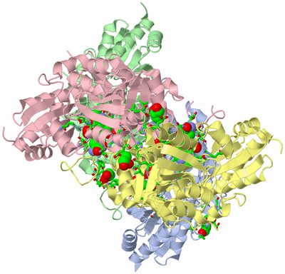 Image Asym./Biol. Unit - sites