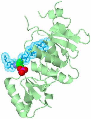 Image Biological Unit 3