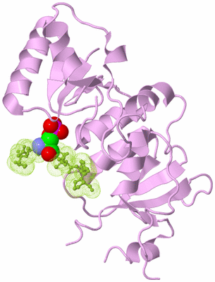 Image Biological Unit 6