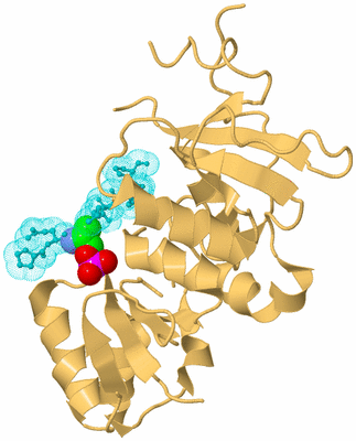 Image Biological Unit 8