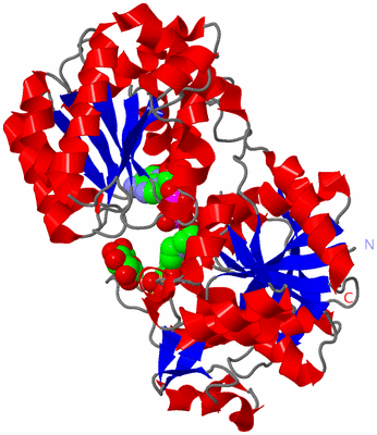 Image Asym./Biol. Unit