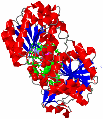 Image Asym./Biol. Unit - sites