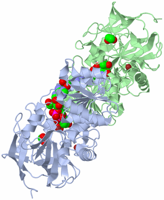 Image Biological Unit 1