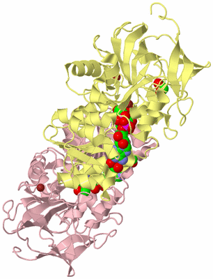 Image Biological Unit 2