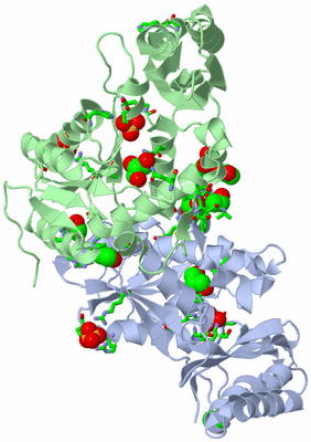 Image Asym./Biol. Unit - sites