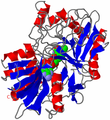 Image Asym./Biol. Unit