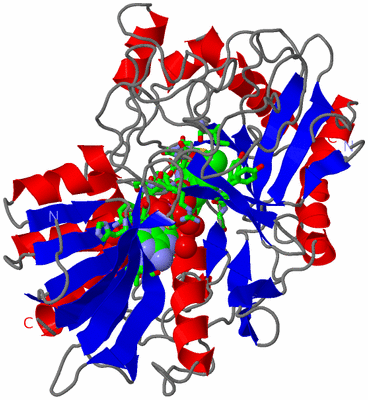 Image Asym./Biol. Unit - sites