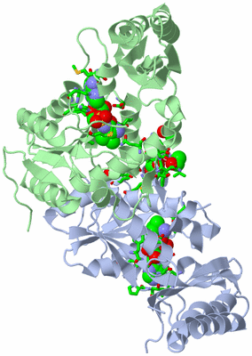 Image Asym./Biol. Unit - sites