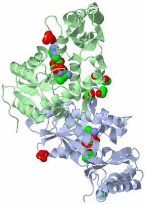 Image Asym./Biol. Unit