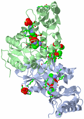 Image Asym./Biol. Unit - sites