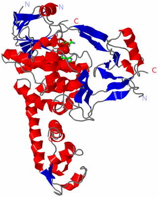 Image Asym. Unit - sites