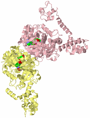 Image Biological Unit 2